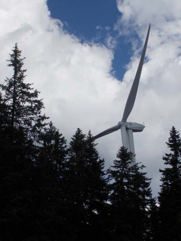 Mariazell 2013 071